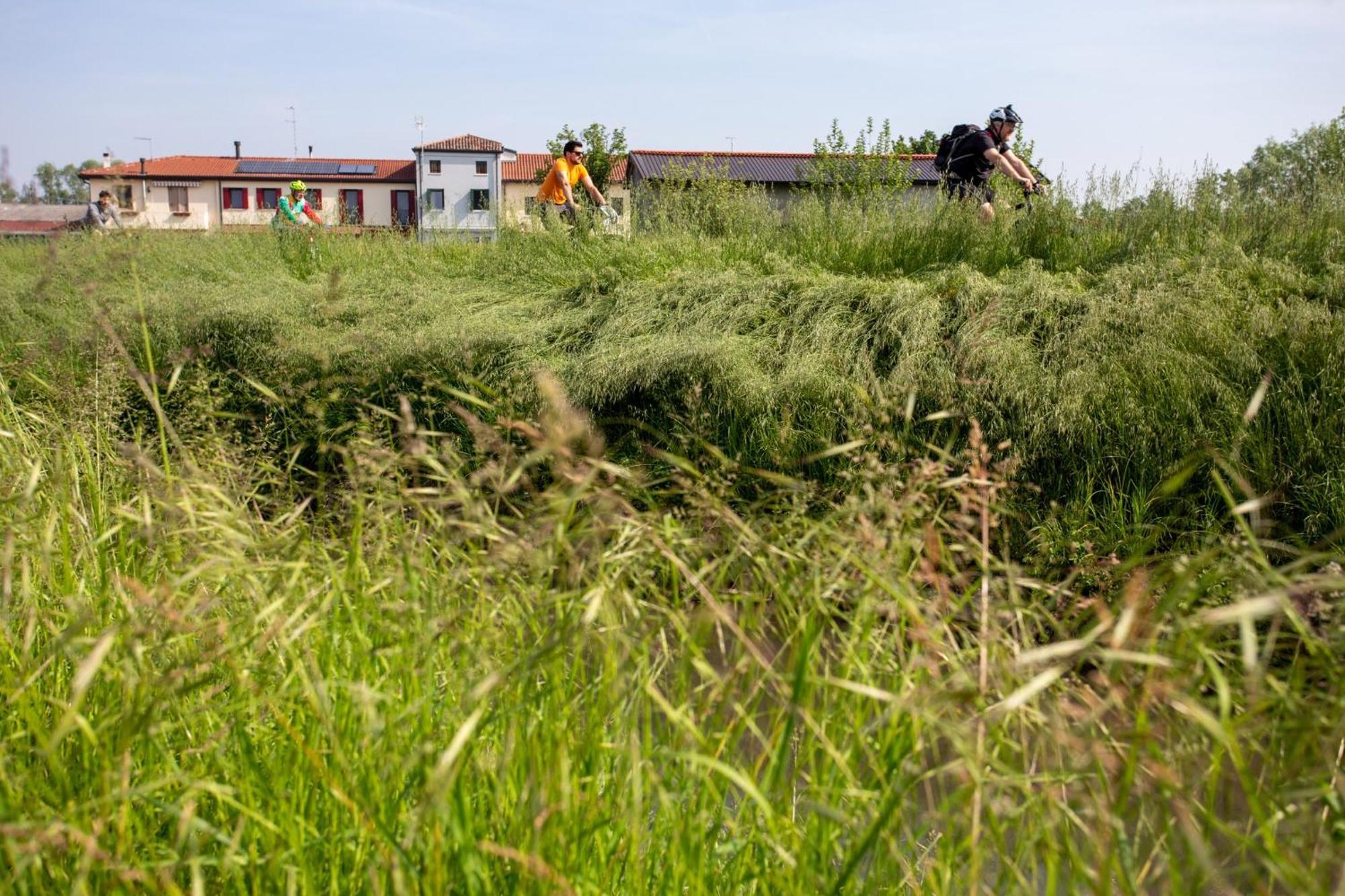 トレヴィーゾ Agriturismo Al Bottenigaヴィラ エクステリア 写真