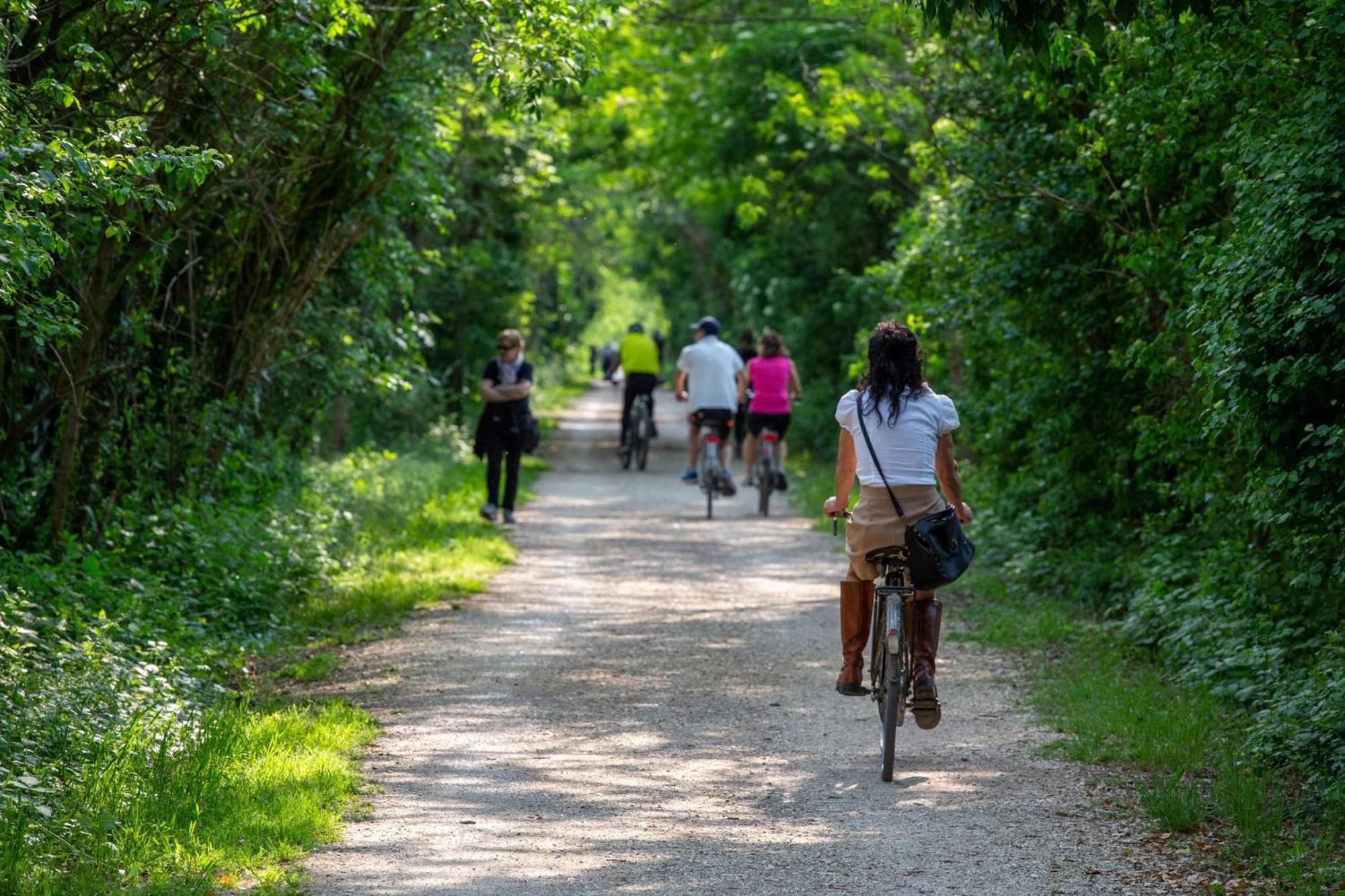 Agriturismo Al Botteniga トレヴィーゾ エクステリア 写真
