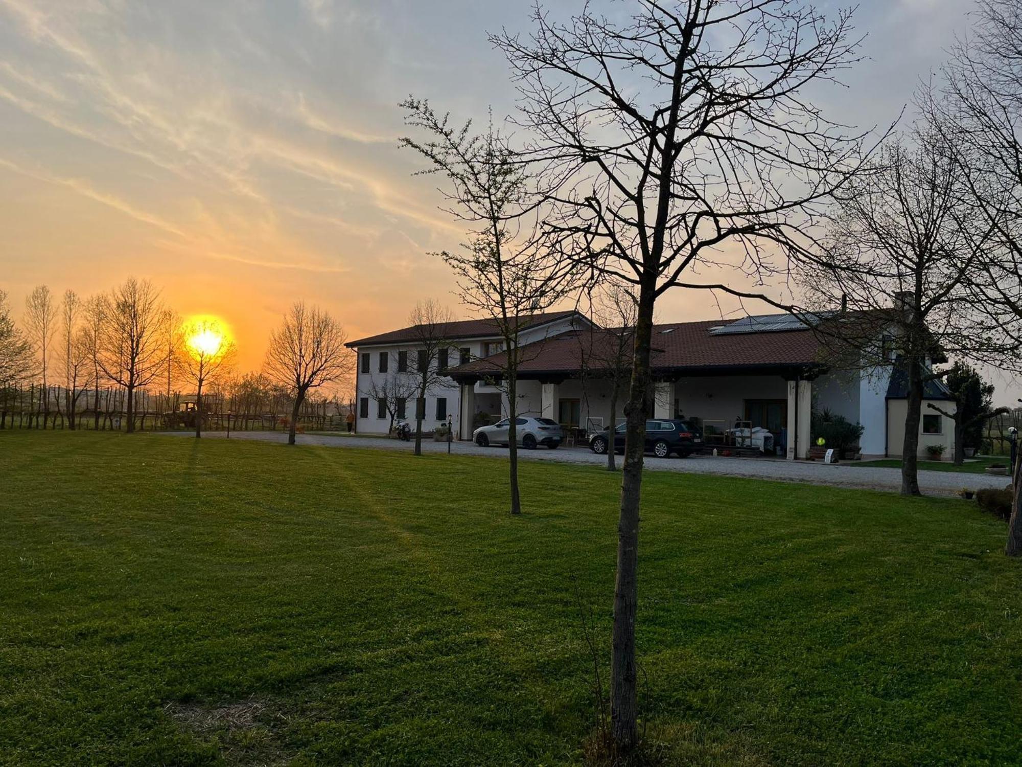 Agriturismo Al Botteniga トレヴィーゾ エクステリア 写真