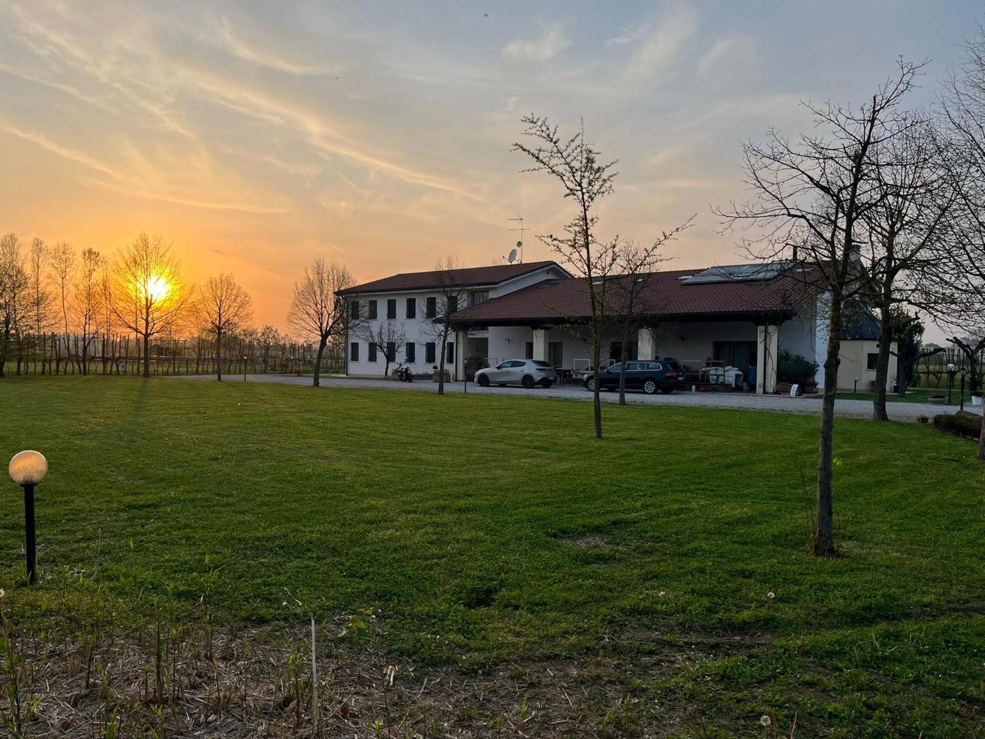 Agriturismo Al Botteniga トレヴィーゾ エクステリア 写真