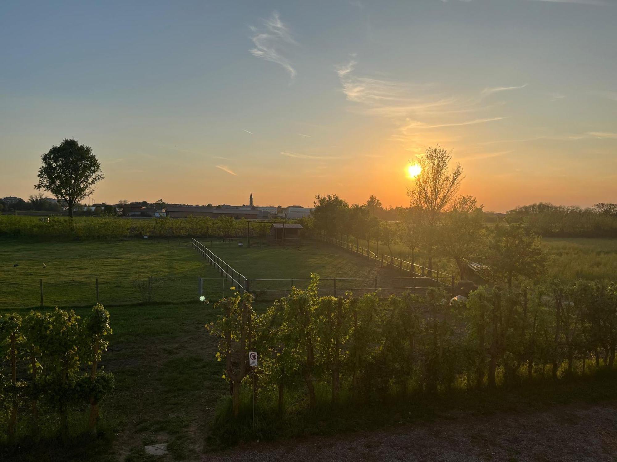 Agriturismo Al Botteniga トレヴィーゾ エクステリア 写真