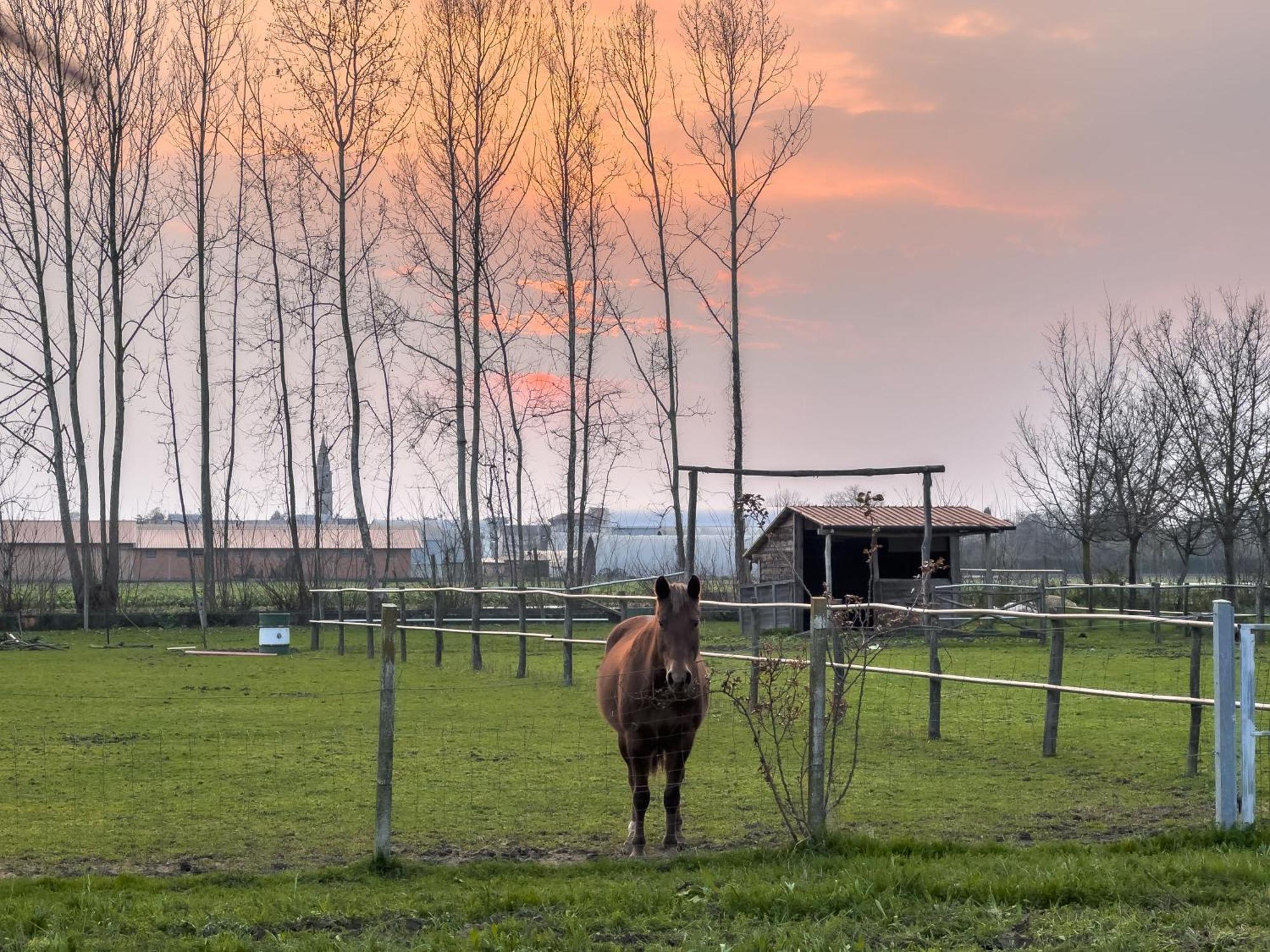 トレヴィーゾ Agriturismo Al Bottenigaヴィラ エクステリア 写真